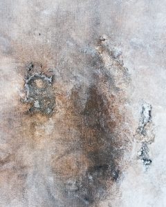 DSC02081